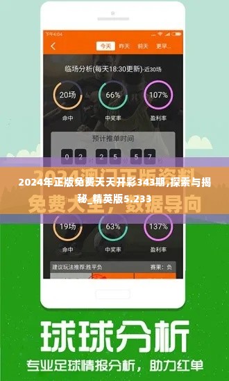 2024年正版免费天天开彩343期,探索与揭秘_精英版5.233