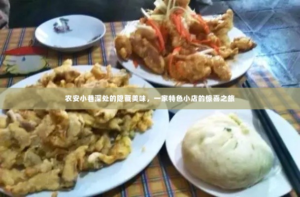 农安小巷深处的特色美食之旅，隐藏美味的惊喜小店