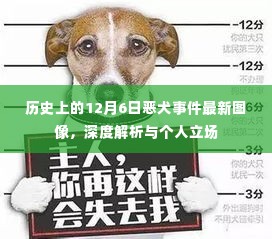 历史上的12月6日恶犬事件最新图像解析与个人立场观点