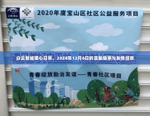 白云新城暖心日常，温馨趣事与友情的绽放 2024年12月6日纪实