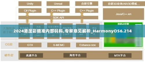 2024港澳彩精准内部码料,专家意见解析_HarmonyOS6.214