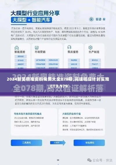 2024新奥精准资料免费大全078期,高速响应计划实施_CT3.979