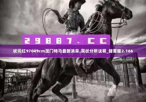 状元红97049cm澳门特马最新消息,现状分析说明_储蓄版2.166