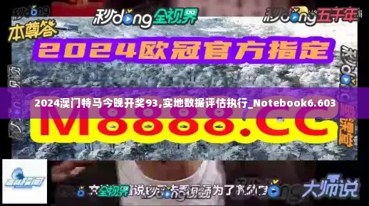 2024澳门特马今晚开奖93,实地数据评估执行_Notebook6.603