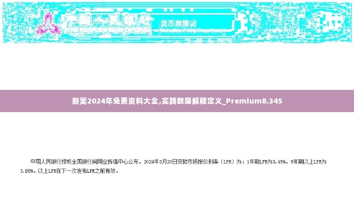 新奥2024年免费资料大全,实践数据解释定义_Premium8.345