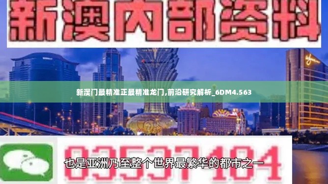 新澳门最精准正最精准龙门,前沿研究解析_6DM4.563