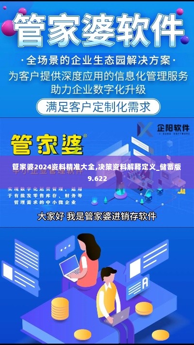 管家婆2024资料精准大全,决策资料解释定义_储蓄版9.622