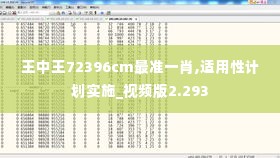 王中王72396cm最准一肖,适用性计划实施_视频版2.293