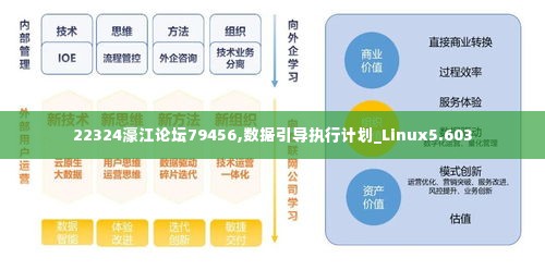 22324濠江论坛79456,数据引导执行计划_Linux5.603