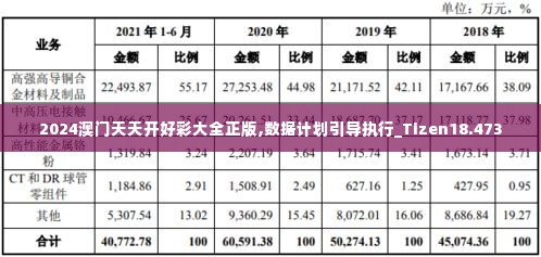 2024澳门天天开好彩大全正版,数据计划引导执行_Tizen18.473