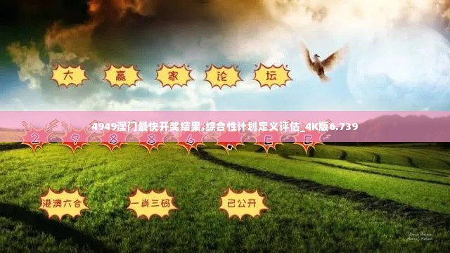 4949澳门最快开奖结果,综合性计划定义评估_4K版6.739