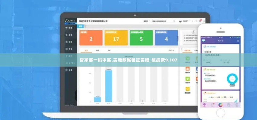管家婆一码中奖,实地数据验证实施_挑战款9.107