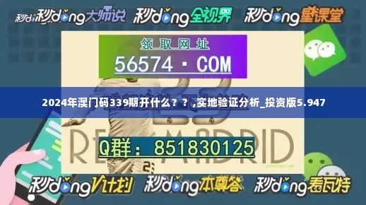 2024年澳门码339期开什么？？,实地验证分析_投资版5.947