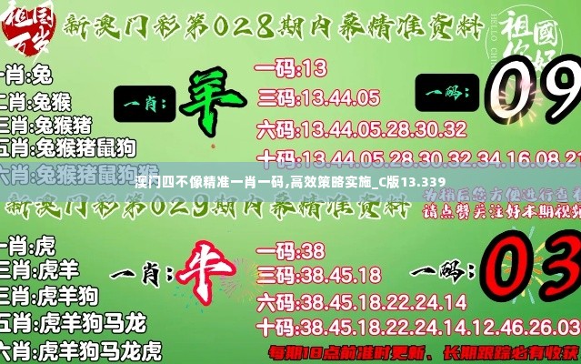 澳门四不像精准一肖一码,高效策略实施_C版13.339