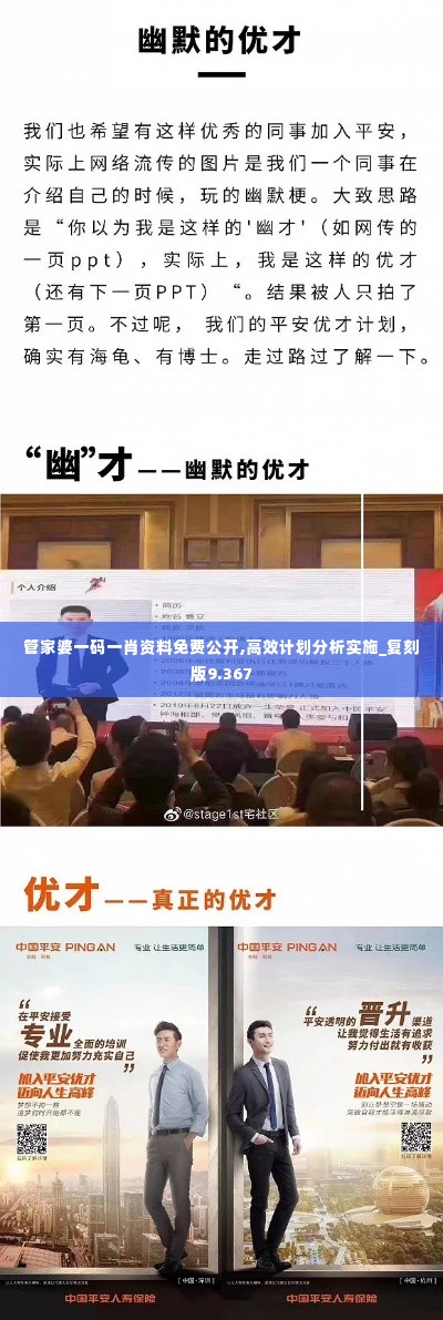 管家婆一码一肖资料免费公开,高效计划分析实施_复刻版9.367