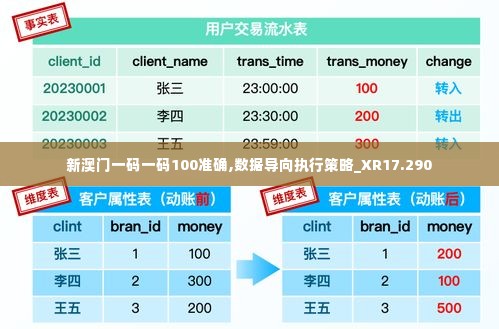 新澳门一码一码100准确,数据导向执行策略_XR17.290