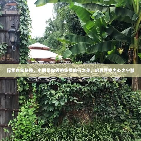 小明带你免费探索自然秘境，领略旅行之美，寻找内心宁静之旅