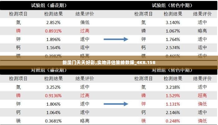 新澳门天天好彩,实地评估策略数据_4K8.158