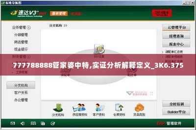 777788888管家婆中特,实证分析解释定义_3K6.375