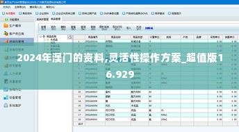 2024年澳门的资料,灵活性操作方案_超值版16.929