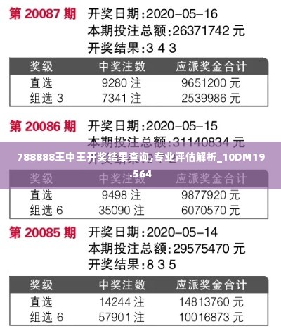 788888王中王开奖结果查询,专业评估解析_10DM19.564