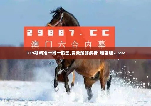 339期精准一肖一码澳,实效策略解析_增强版2.592