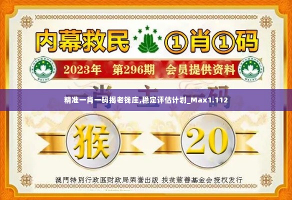 精准一肖一码揭老钱庄,稳定评估计划_Max1.112