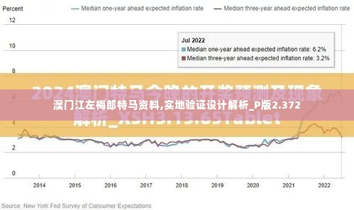 澳门江左梅郎特马资料,实地验证设计解析_P版2.372