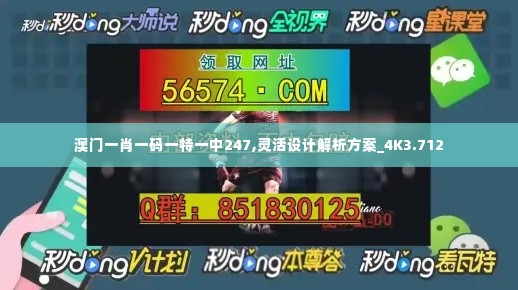 澳门一肖一码一特一中247,灵活设计解析方案_4K3.712