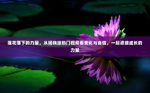 莲花的力量，从扬晓琼视频看成长、变化与自信的力量