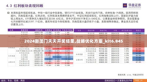 2024新澳门天天开奖结果,战略优化方案_kit6.845