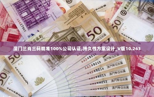 澳门三肖三码精准100%公司认证,持久性方案设计_V版10.263