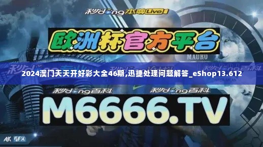 2024澳门天天开好彩大全46期,迅捷处理问题解答_eShop13.612