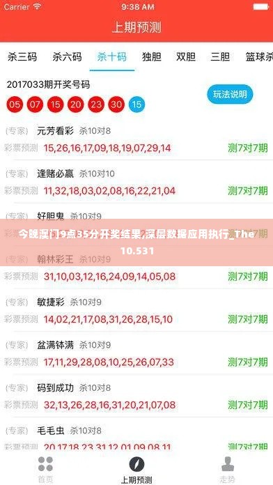 今晚澳门9点35分开奖结果,深层数据应用执行_The10.531