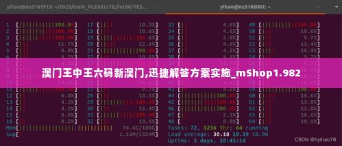 澳门王中王六码新澳门,迅捷解答方案实施_mShop1.982