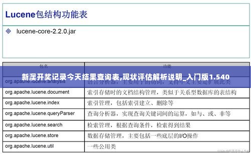 新澳开奖记录今天结果查询表,现状评估解析说明_入门版1.540