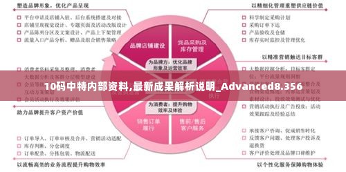 10码中特内部资料,最新成果解析说明_Advanced8.356