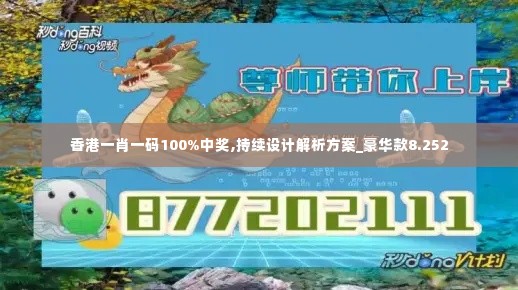 香港一肖一码100%中奖,持续设计解析方案_豪华款8.252