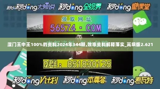 澳门王中王100%的资料2024年344期,效率资料解释落实_高级版2.621