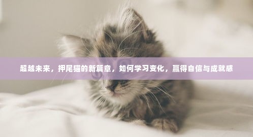 超越未来，押尾猫新篇章——学习变化，自信成就之路