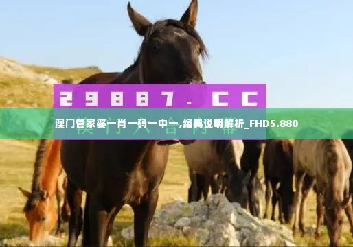 澳门管家婆一肖一码一中一,经典说明解析_FHD5.880