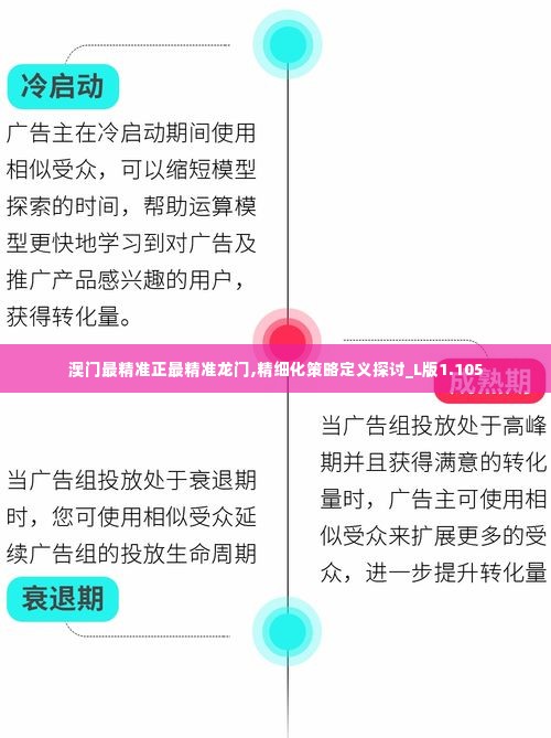 澳门最精准正最精准龙门,精细化策略定义探讨_L版1.105