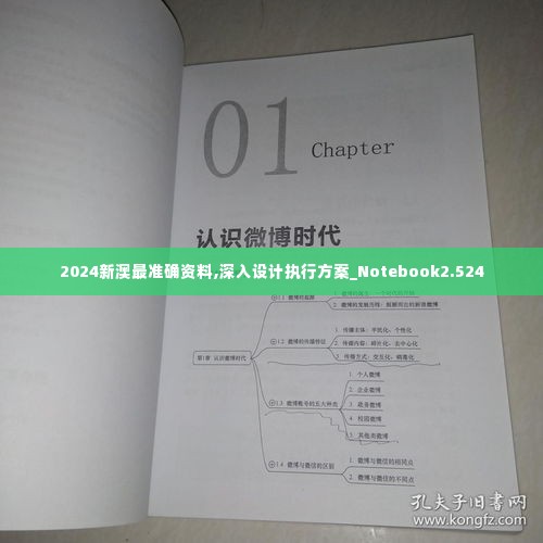 2024新澳最准确资料,深入设计执行方案_Notebook2.524