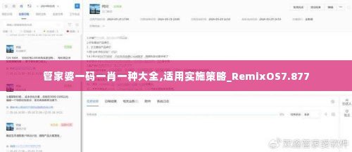 管家婆一码一肖一种大全,适用实施策略_RemixOS7.877