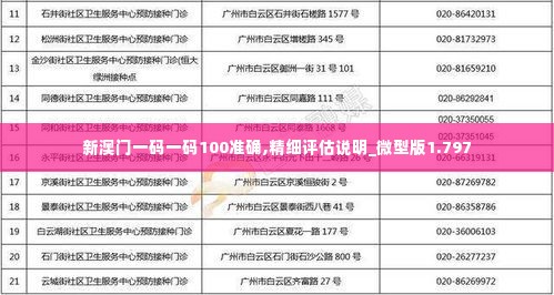 新澳门一码一码100准确,精细评估说明_微型版1.797