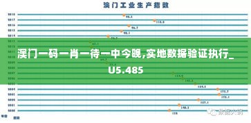 澳门一码一肖一待一中今晚,实地数据验证执行_U5.485