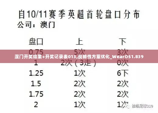 澳门开奖结果+开奖记录表013,战略性方案优化_WearOS1.839