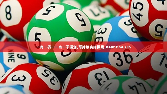 一肖一码一一肖一子深圳,可持续实施探索_PalmOS4.235