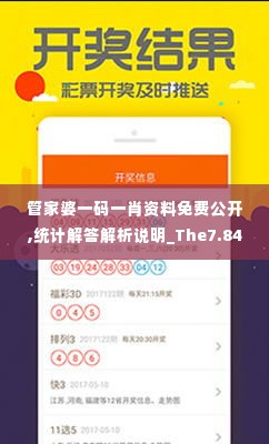 管家婆一码一肖资料免费公开,统计解答解析说明_The7.844