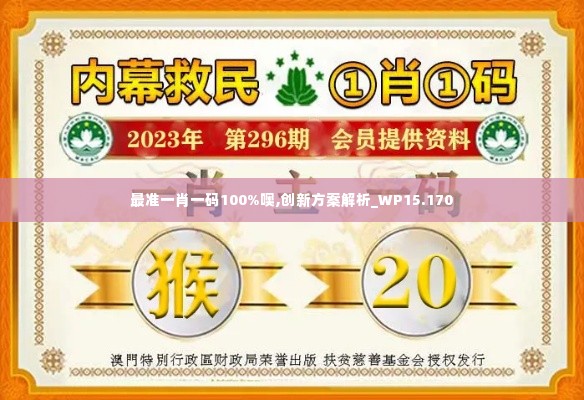 最准一肖一码100%噢,创新方案解析_WP15.170